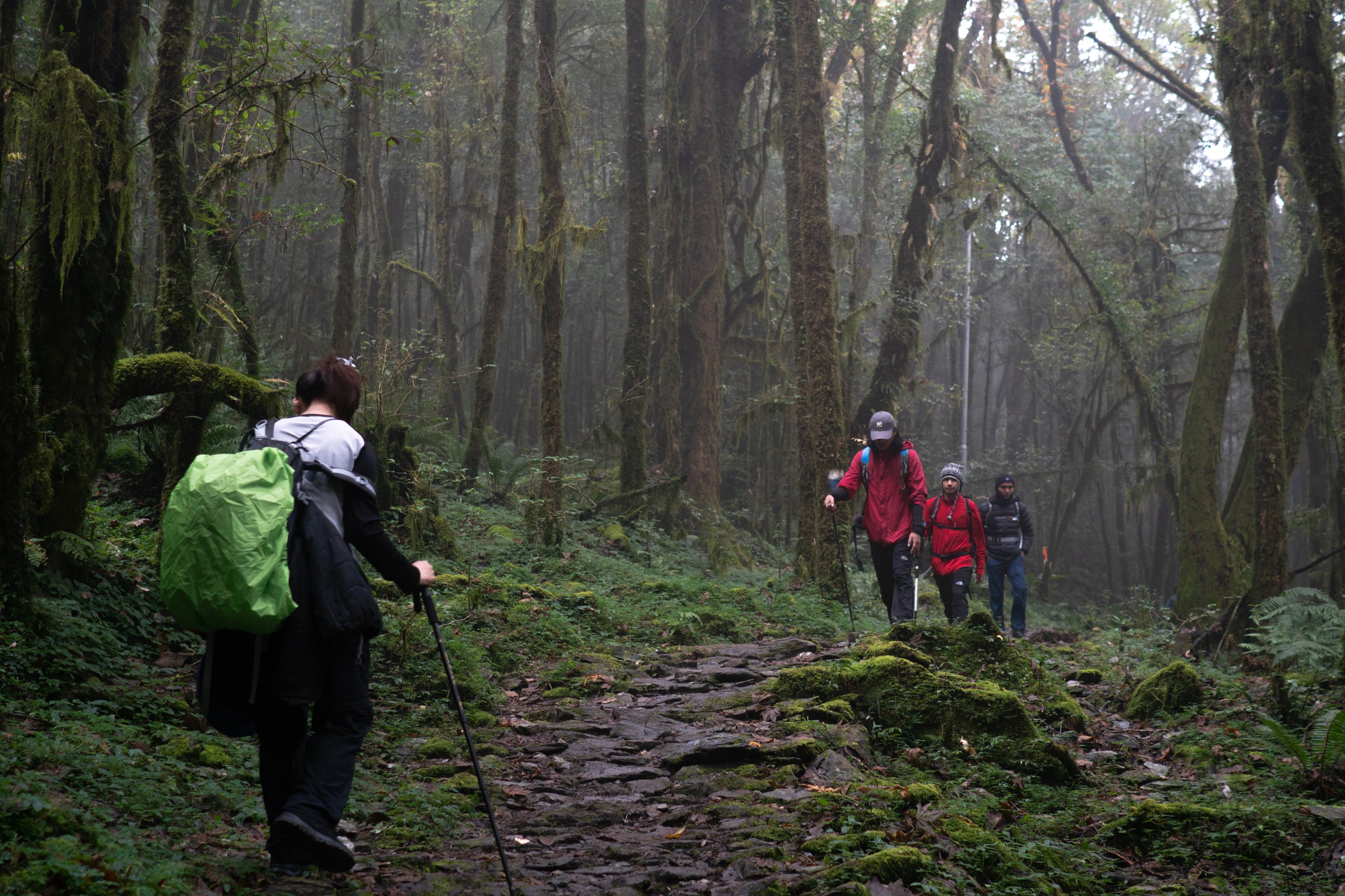 mardi trek_durga (8).jpg